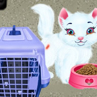 Baby Taylor Pet Care - Save Cute Animals